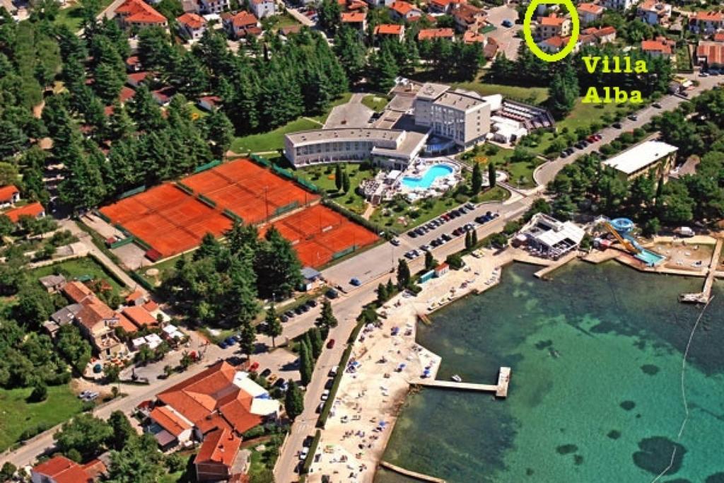 Apartment Alba *